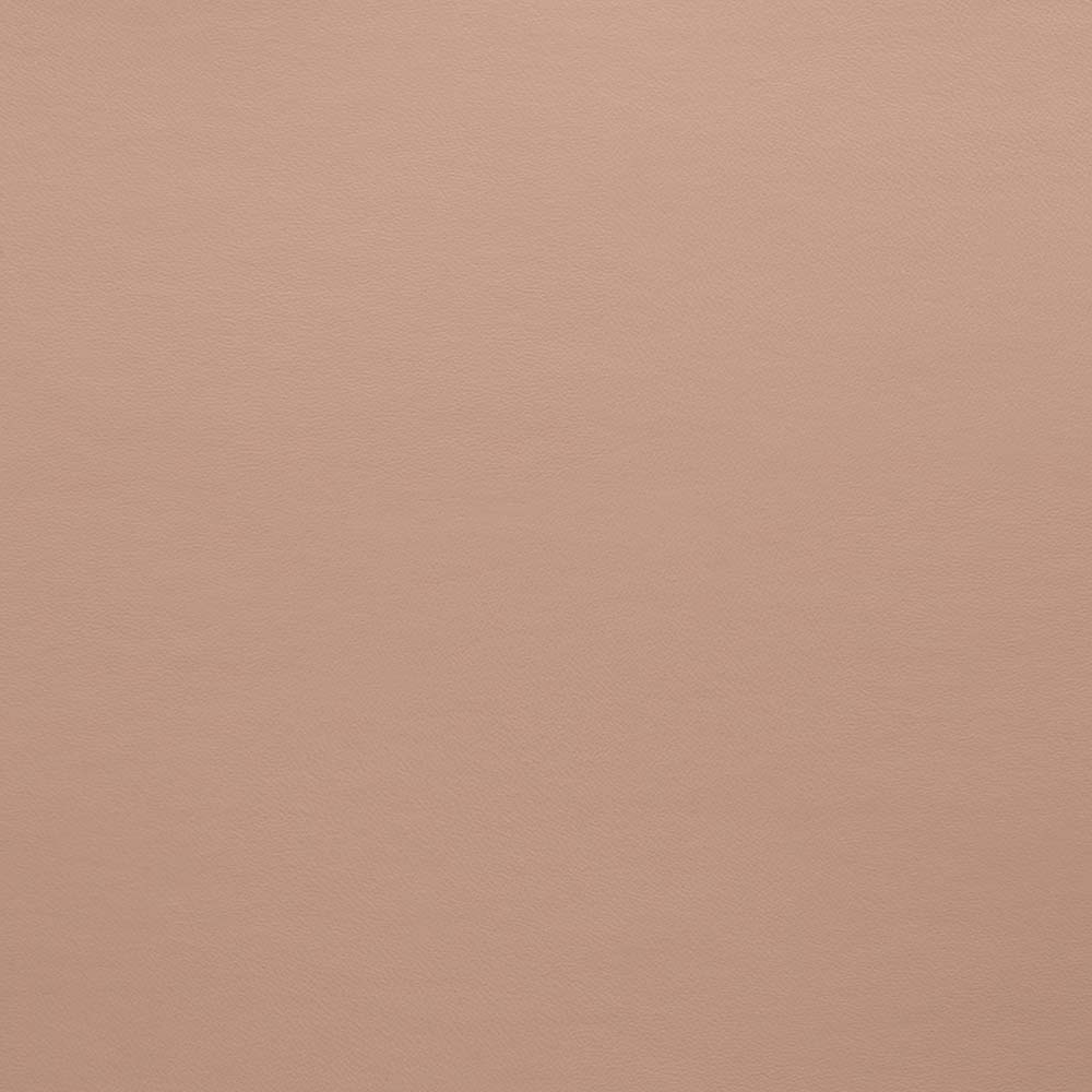 Cadet Pale Pink