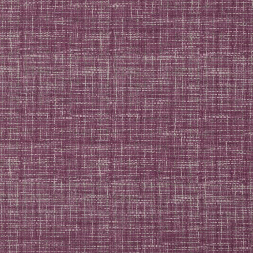 Chatsworth Grandeur Damson