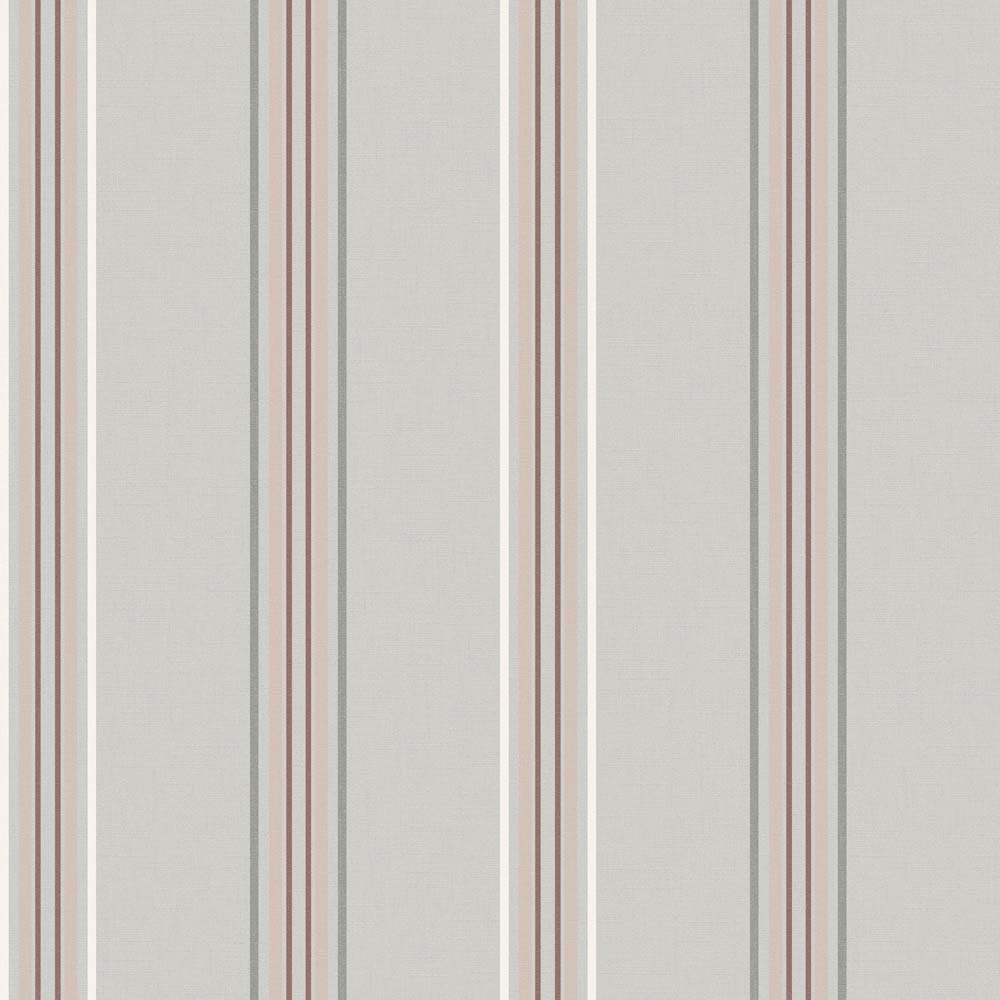 Exotic Garden Gazania Blush