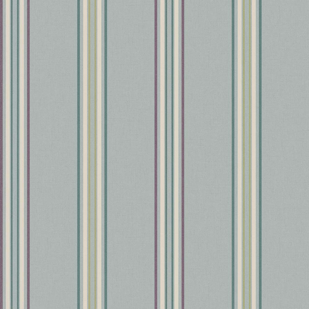 Exotic Garden Gazania Chalk Blue