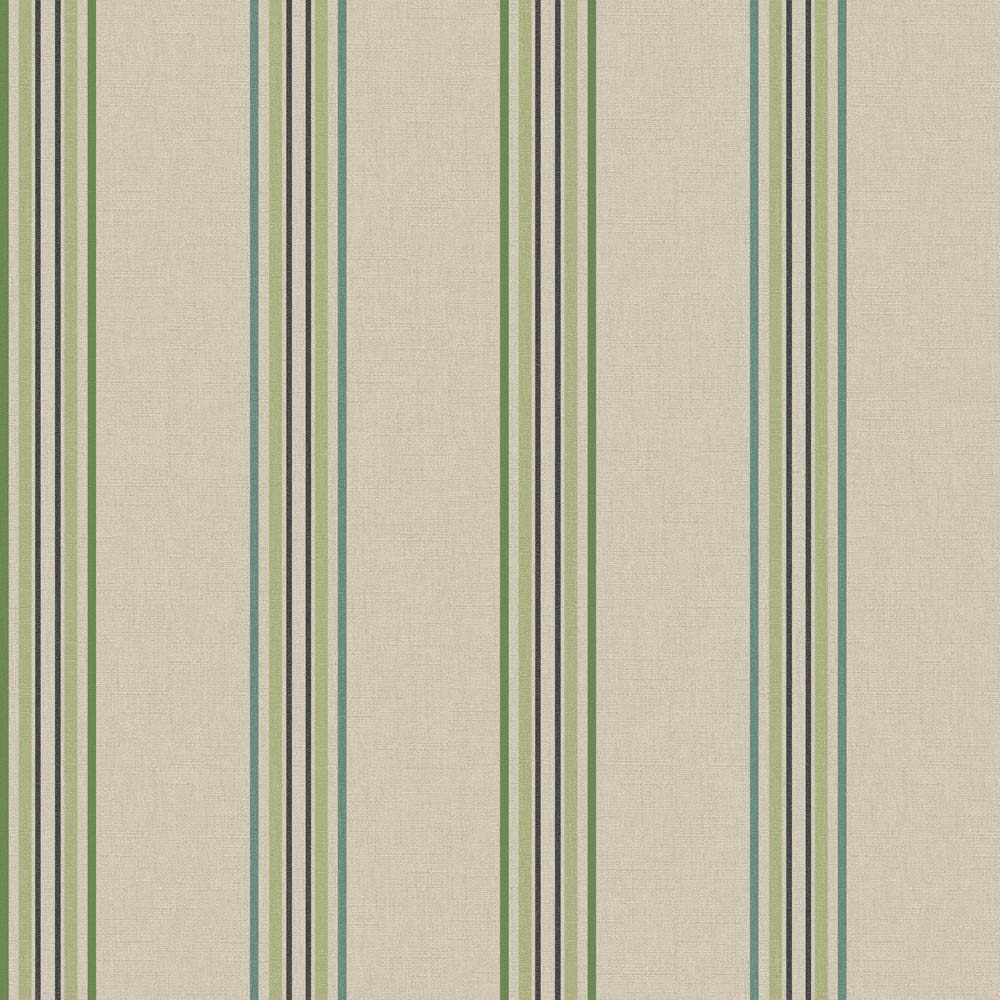 Exotic Garden Gazania Emerald