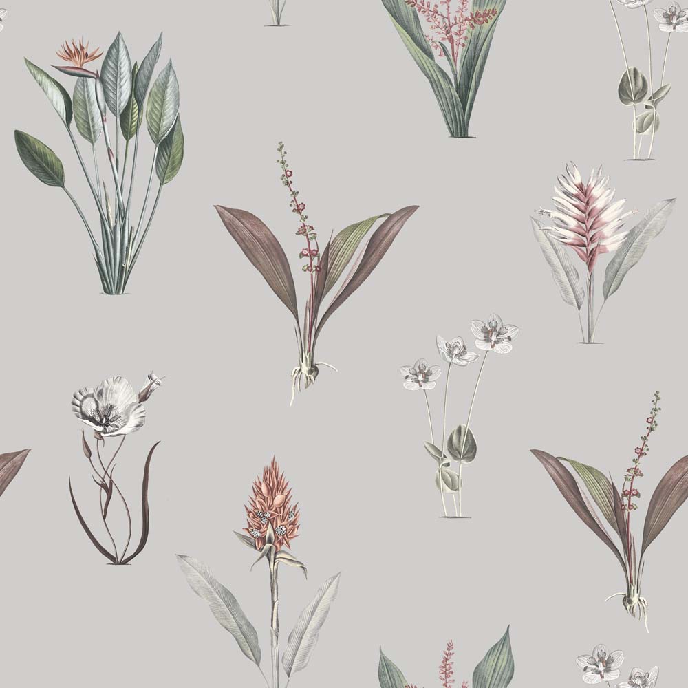 Exotic Garden Kaya Blush