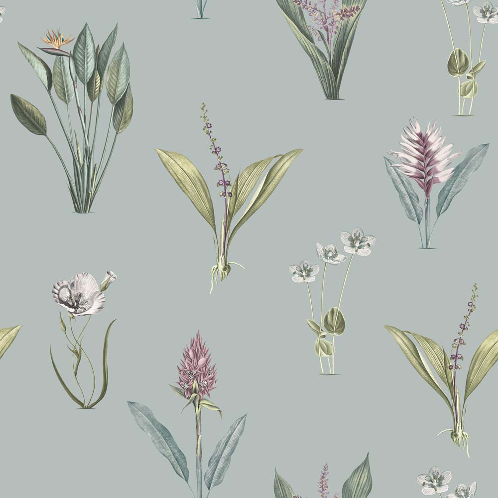 Exotic Garden Kaya Chalk Blue