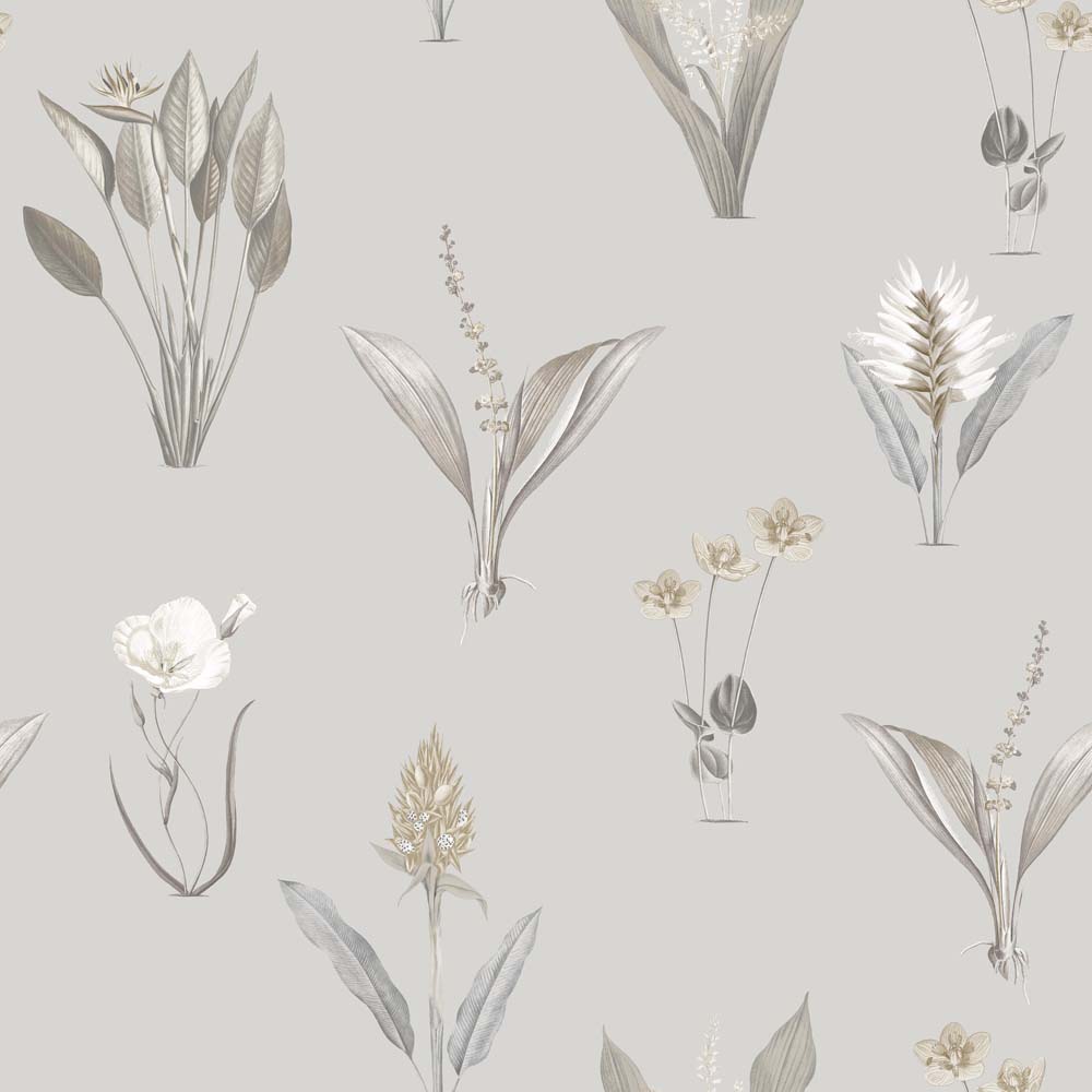 Exotic Garden Kaya Dove