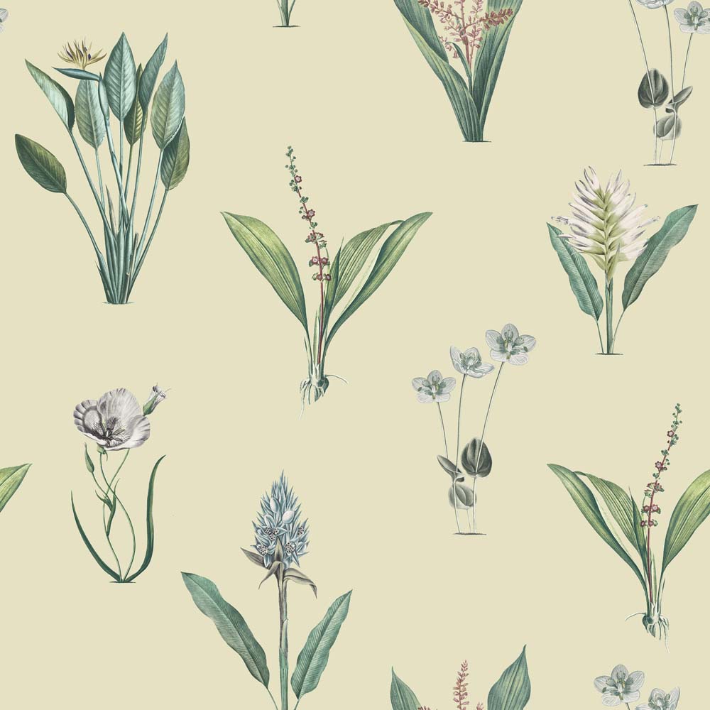 Exotic Garden Kaya Emerald