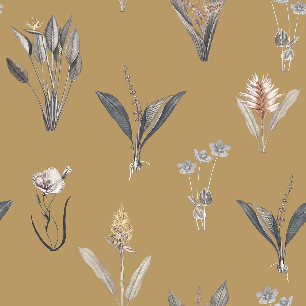 Exotic Garden Kaya Ochre