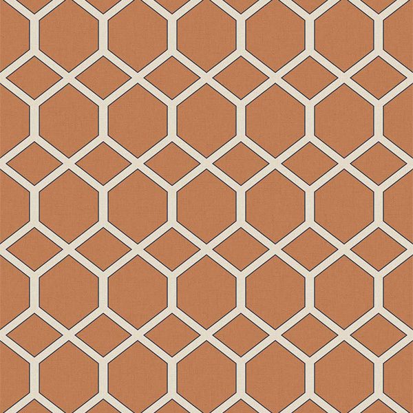 Exotic Garden Kibale Papaya