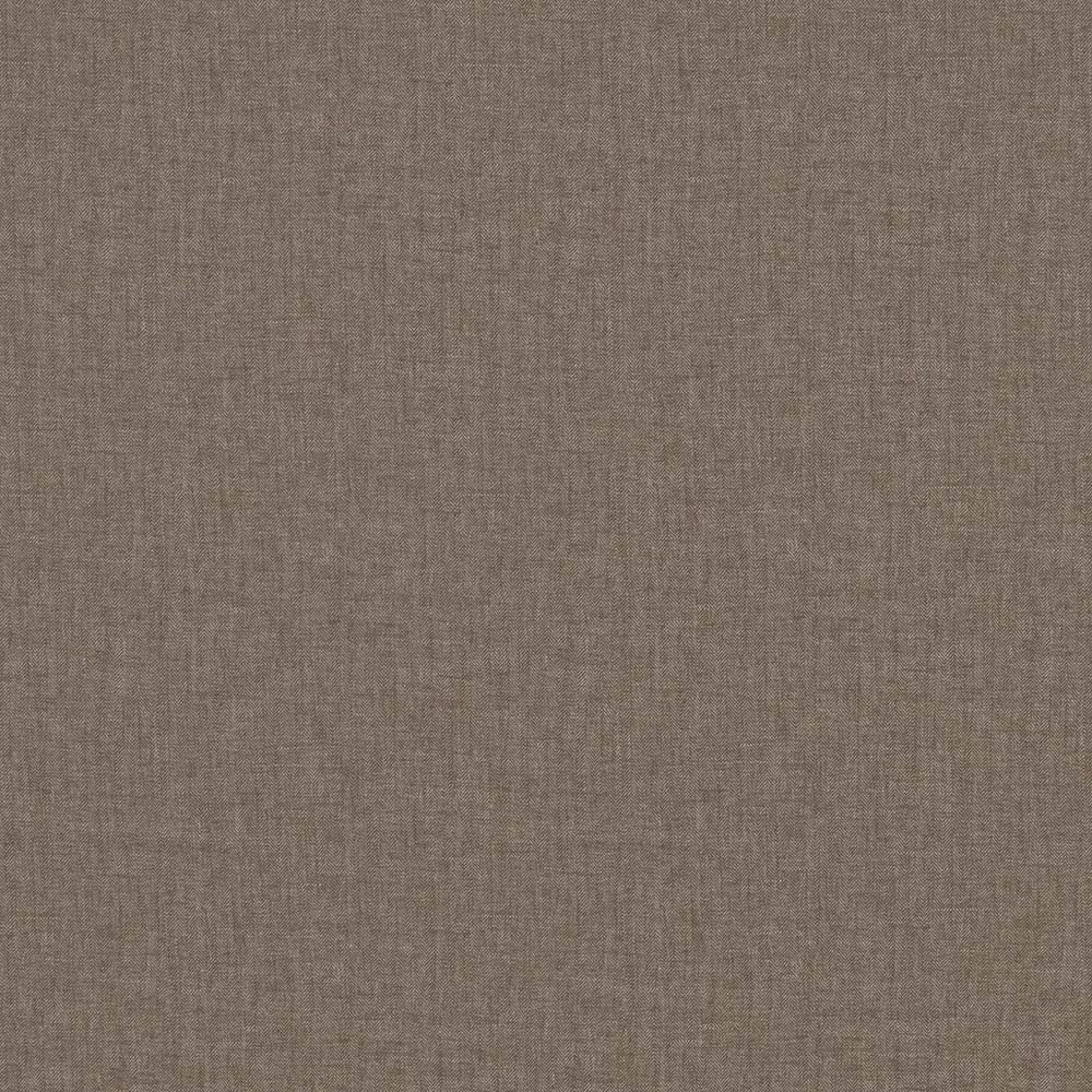 Fiorella Everett Mushroom