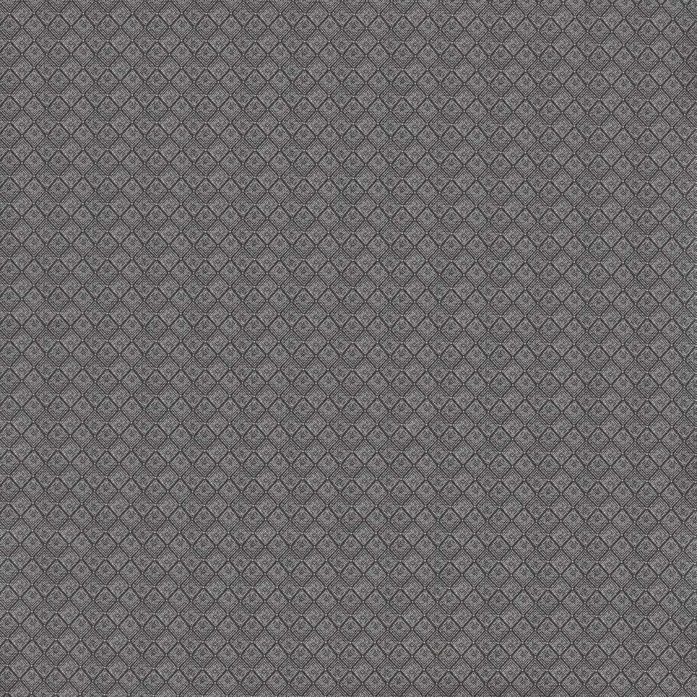 Fiorella Johannes Graphite