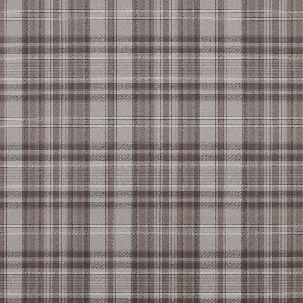 Fiorella Regan Cocoa