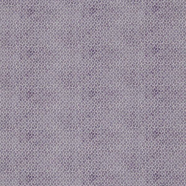 Nostalgia Darcy Heather