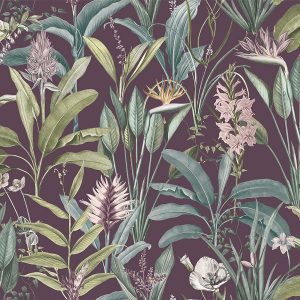 Exotic Garden Imbali Plum